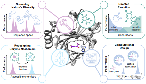 酶促DNA合成原理